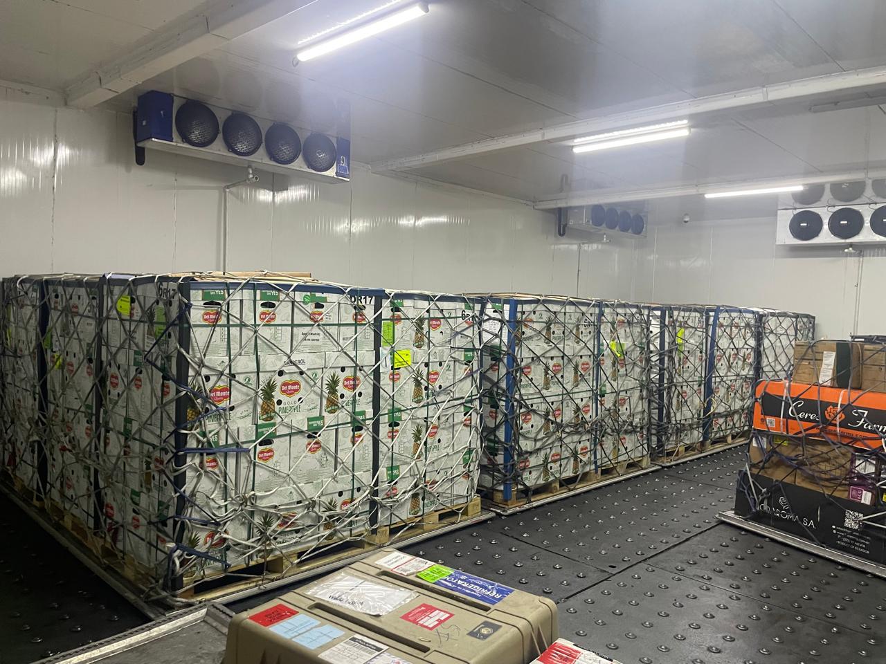 Cold Chain Storage